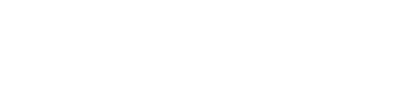 logo_inseec_blanc